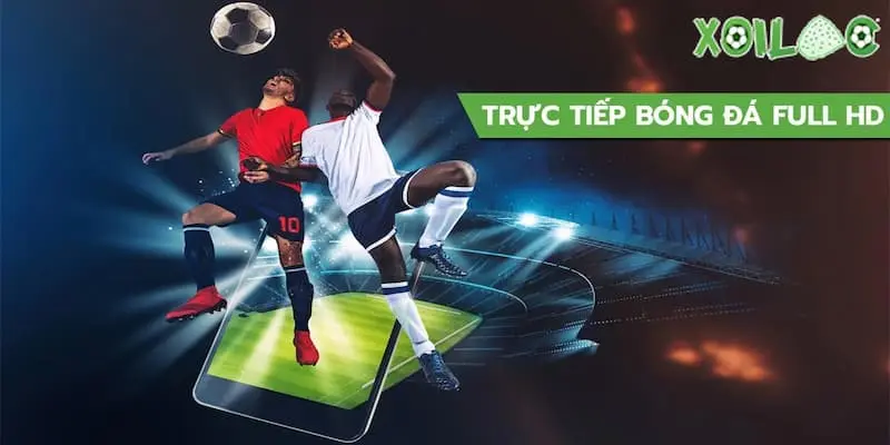 Lý do bạn nên cập nhật lịch thi đấu bóng đá thường xuyên